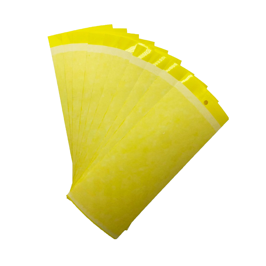 plaque engluée jaune 25x10