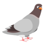 icone pigeon