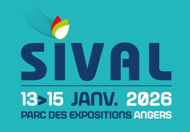 sival 2026