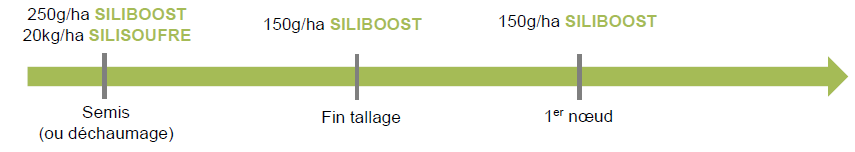 programme demarrage nutrition cereales paille
